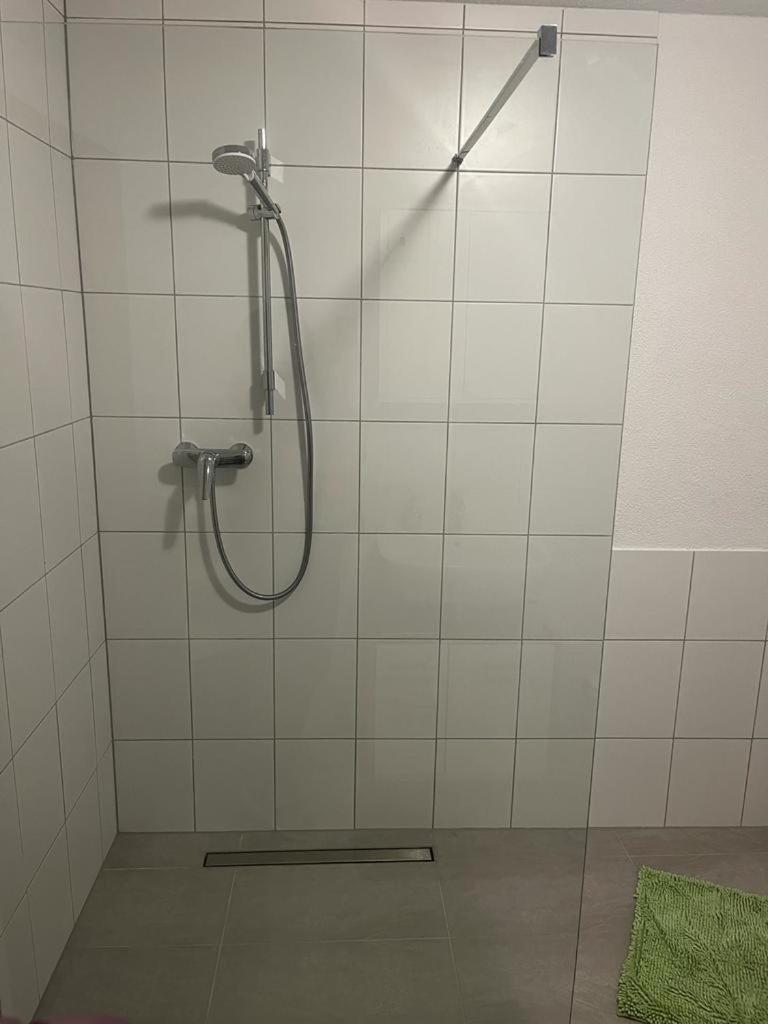 Diti Apartment Lottstetten Eksteriør bilde